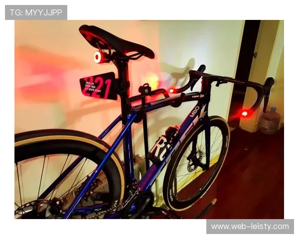 山地自行车配件市场增长迅速，头盔、护具、骑行服等安全装备需求上升